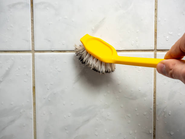 Home Mold Removal in El Portal, FL